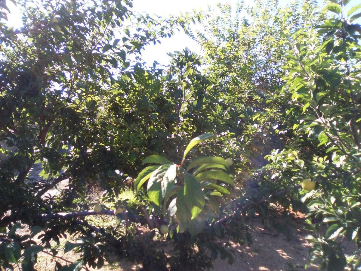 Casa De Los Abuelos ビラフロール エクステリア 写真